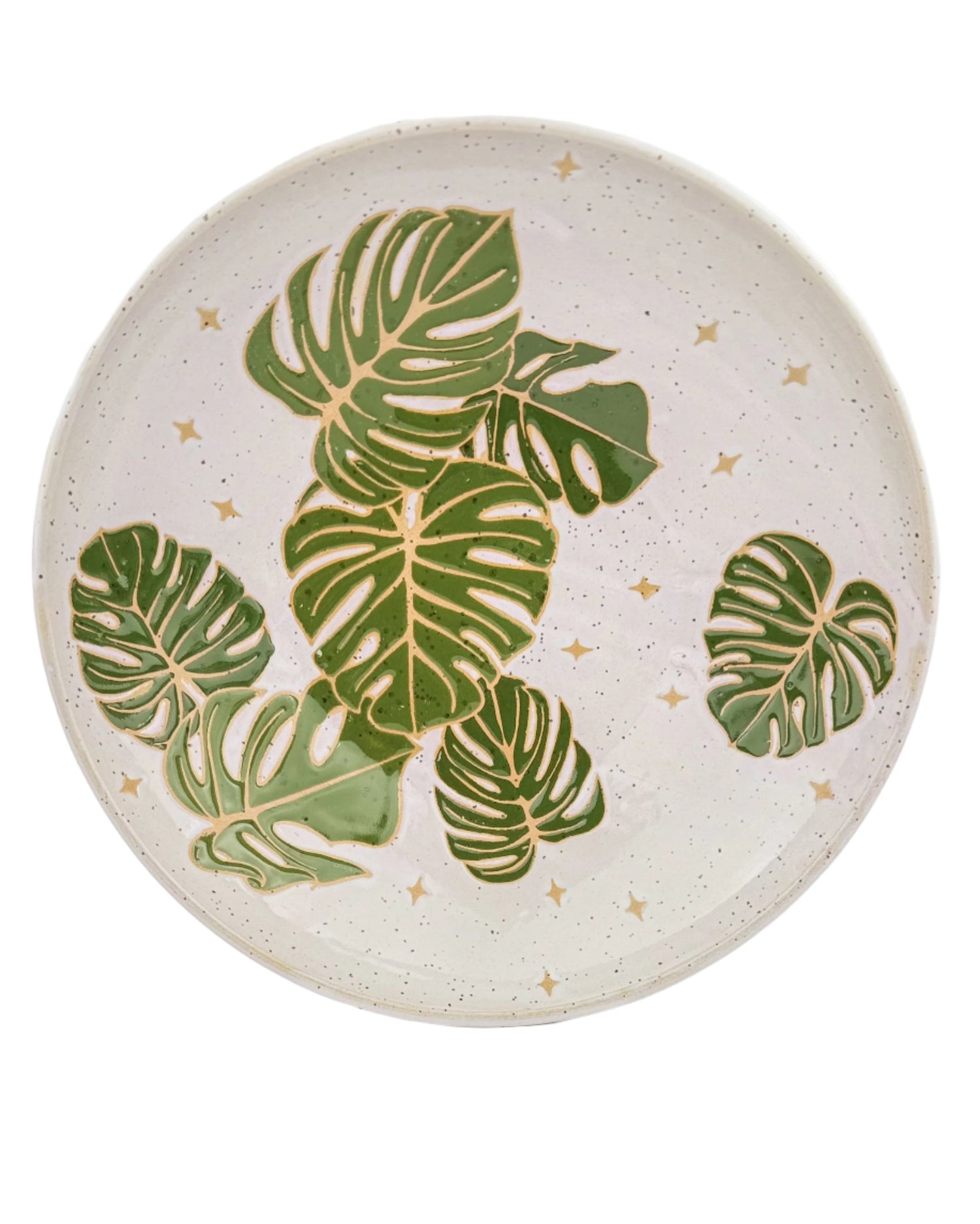 Monstera Leaf Collection