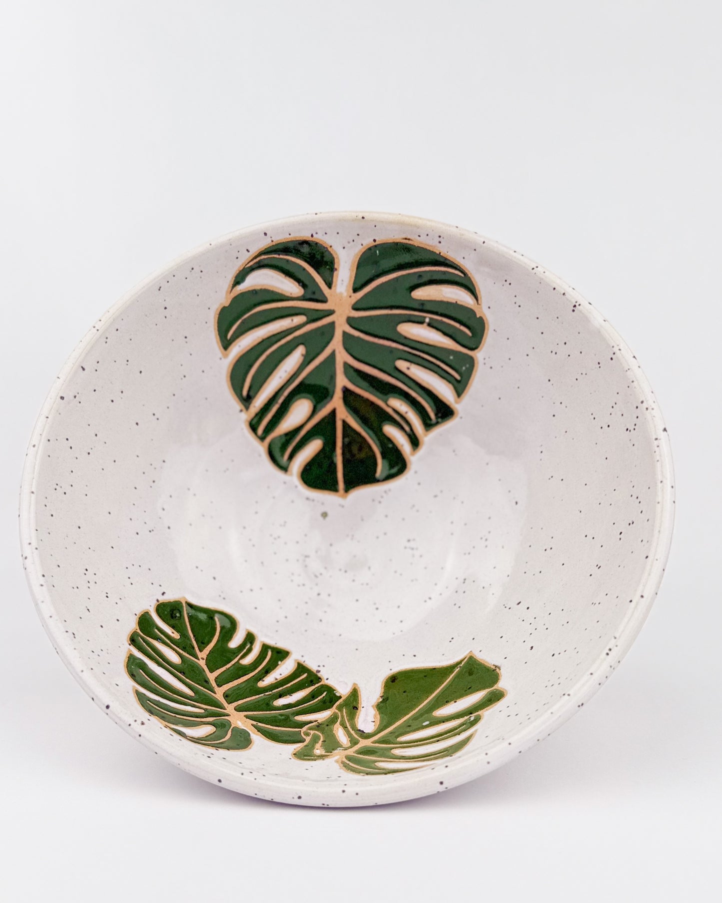 Monstera Everyday Bowl